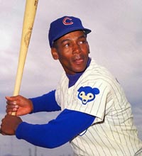 Mr.Cub